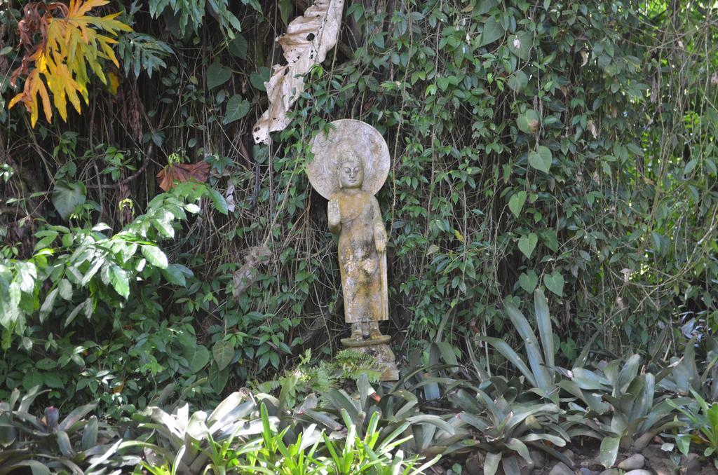 Lanna Ban Hotel Puerto Viejo de Talamanca Kültér fotó